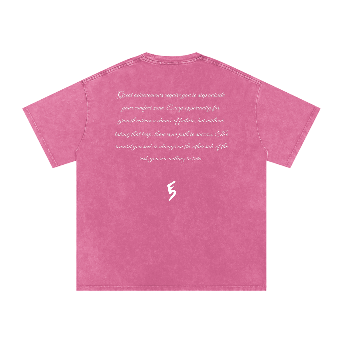 No Risk No Reward Snow Washed Oversized T-Shirt